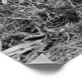 Poster Pompe de souche : 1913 (Coin)