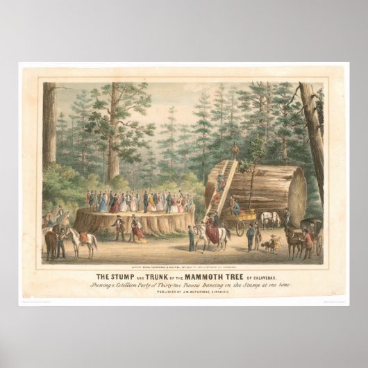 Poster Pompe du Mammoth Tree de Calaveras (0977A) (Devant)