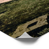 Poster Pompéi (Coin)