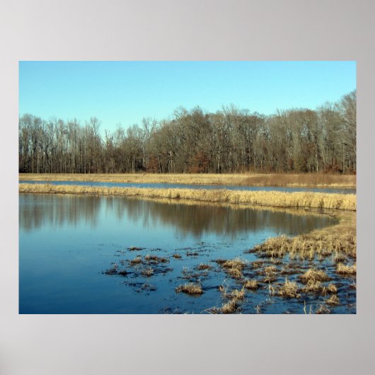 Poster Pond (Devant)