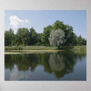 Poster Pond