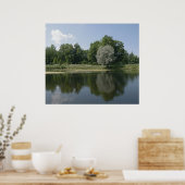 Poster Pond (Cuisine)