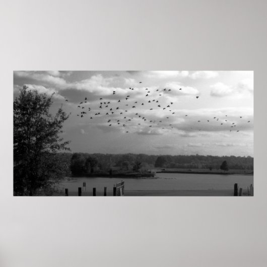 Poster Pond (Devant)