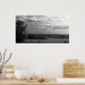 Poster Pond (Cuisine)