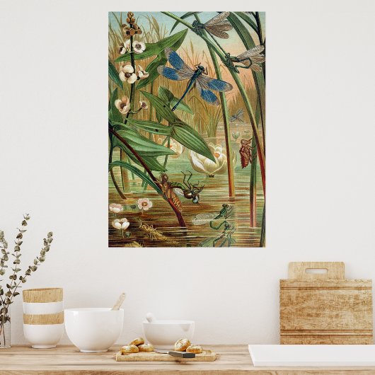 Poster Pond Life (Cuisine)