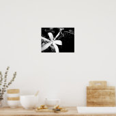 Poster Pond Lily (Cuisine)