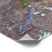 Poster Pond Walden Imprimer (Coin)