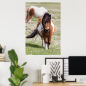 Poster Poney Shetland, Îles Shetland (Bureau à domicile)
