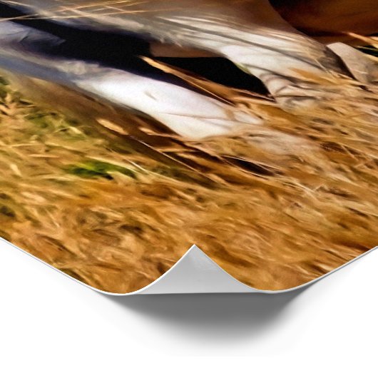 POSTER PONIES (Coin)