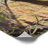 Poster Pont à Mary Ellen Kramer Great Falls Park, NJ (Coin)