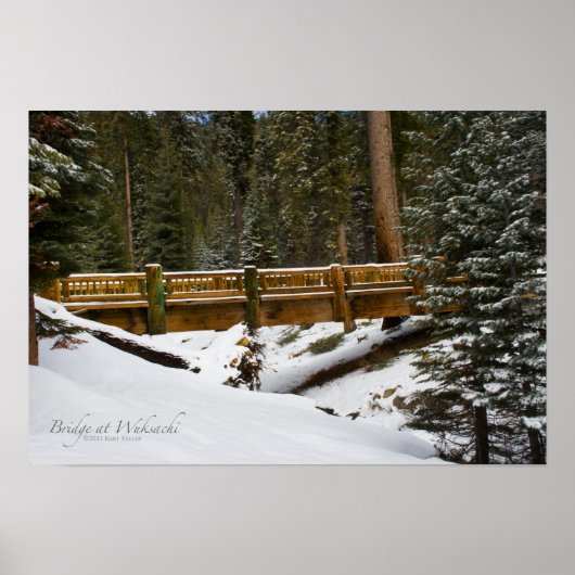 Poster Pont à Wuksachi (Devant)