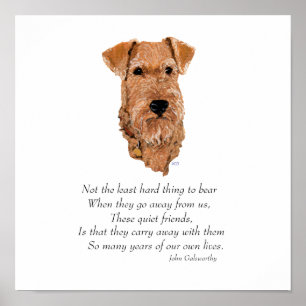 Poster Pont arc-en-ciel Terrier Irlandais