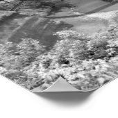 Poster Pont au-dessus de la gorge de la rivière Photo (Coin)