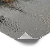 Poster Pont Charles, Prague (Coin)