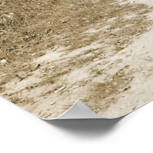 Poster Pont couvert (Coin)