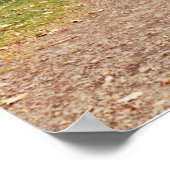 Poster Pont couvert (Coin)