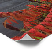 Poster Pont couvert Ashuelot de 159 pieds s'étendant (Coin)