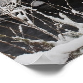 Poster Pont couvert de neige en bois (Coin)