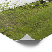 Poster Pont couvert de Wild Cat, comté de Lane, Oregon (Coin)