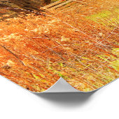 Poster Pont couvert du ruisseau Sugar (Coin)