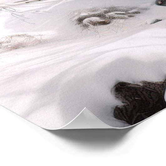 Poster Pont couvert en neige (Coin)