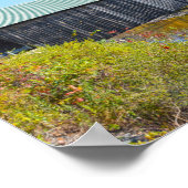 Poster Pont couvert Lincoln, Automne, Woodstock, Vermont (Coin)