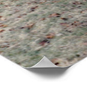 Poster Pont couvert rouge (Coin)