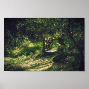Poster Pont dans les bois
