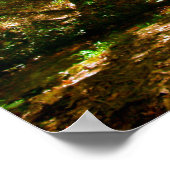 Poster Pont dans les Bois (Coin)