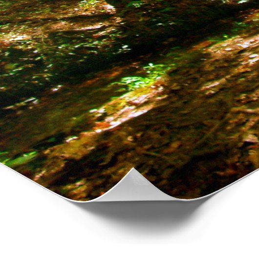 Poster Pont dans les Bois (Coin)