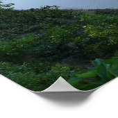 Poster Pont d'arc de pierre Clements 1886 (Coin)