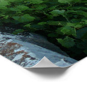 Poster Pont d'arc de pierre Clements 1886 (Coin)