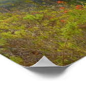 Poster Pont de Bixby (Coin)