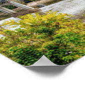 Poster Pont de Jeff City (Coin)