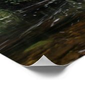 Poster Pont de la cascade Torc (Coin)