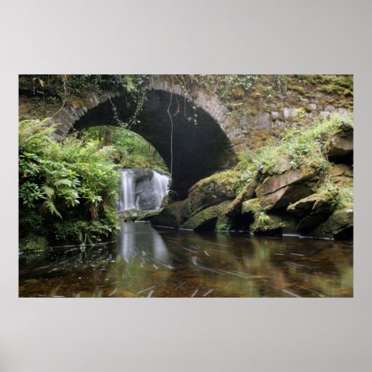 Poster Pont de la cascade Torc (Devant)
