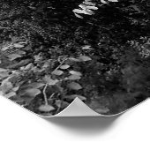 POSTER PONT DE LA RUE MONROE DE SPOKANE (Coin)