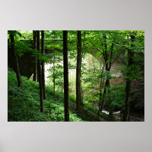 Poster Pont de Letchworth Forêt verte 36" x 24" (Devant)
