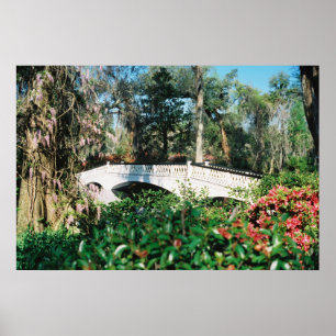 Poster Pont de magnolia