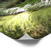 Poster Pont de Muir Woods II (Coin)