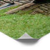 Poster Pont de pierre Lilypads Nature (Coin)