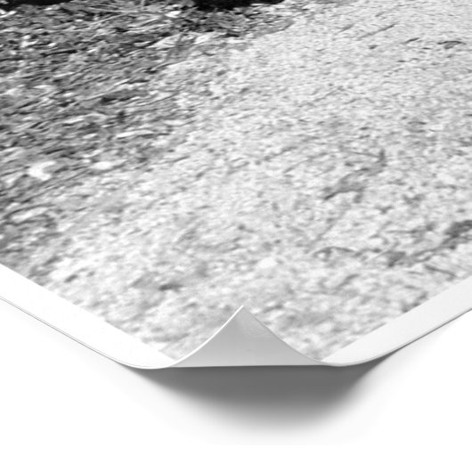 Poster Pont des Branches (Coin)