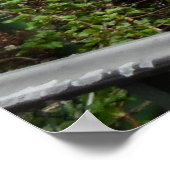 Poster Pont des Fleurs (Coin)