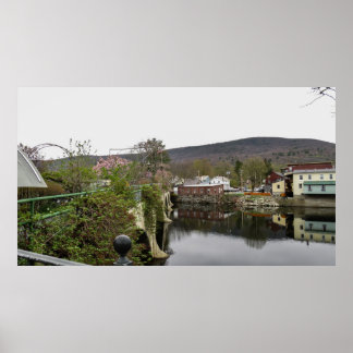 Poster Pont des Fleurs