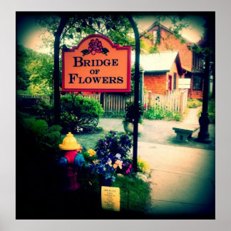 Poster Pont des fleurs
