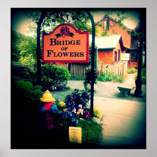 Poster Pont des fleurs (Devant)