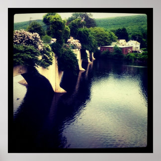 Poster Pont des fleurs