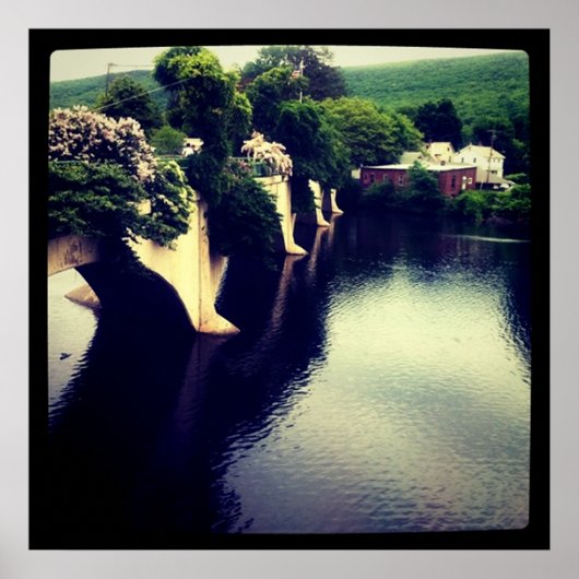 Poster Pont des fleurs (Devant)