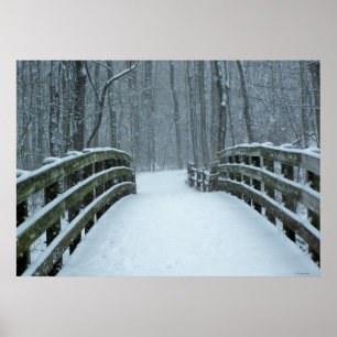 Poster Pont d'hiver