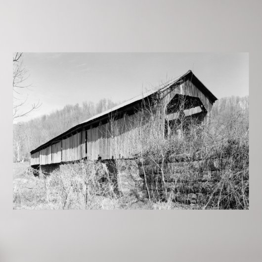 Poster Pont du crâne (Devant)